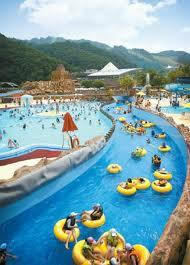 洪川郡旅游景点-Vivaldi Park Ocean World