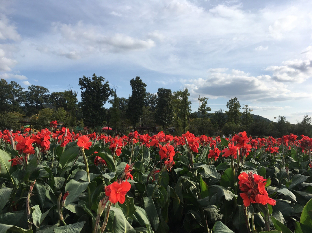 杨州市旅游攻略图片