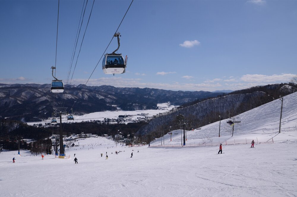 白马五龙滑雪场 / 高山植物园景点图片