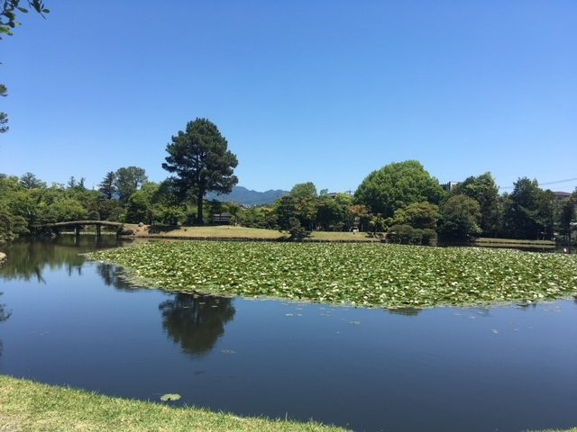Shurakuen Garden景点图片