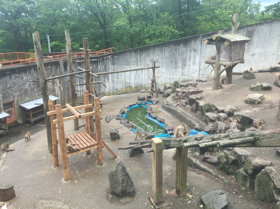 Ishikawa Forest Park景点图片