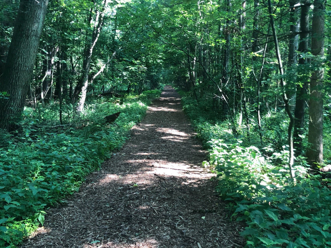 Baldwinsville旅游攻略图片