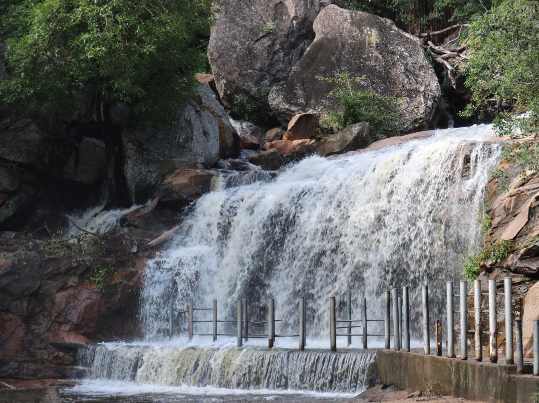 Thirumoorthi Dam景点图片