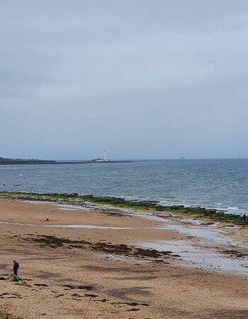 Whitley Bay Promenade景点图片