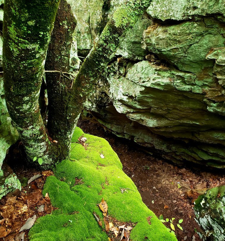 Rocktown Trail景点图片