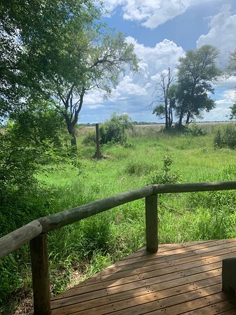 Camp Moremi-酒店景观