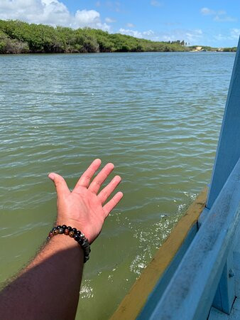 Barra de Jequia Beach景点图片