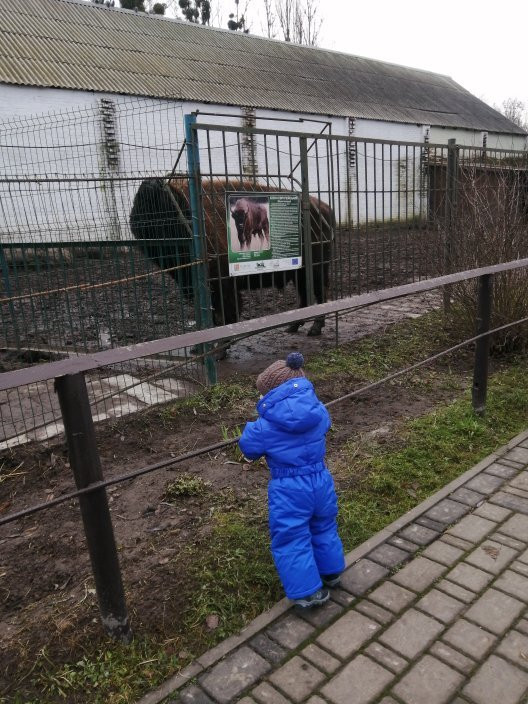 Lutsk Zoo-Lutsk必去景点