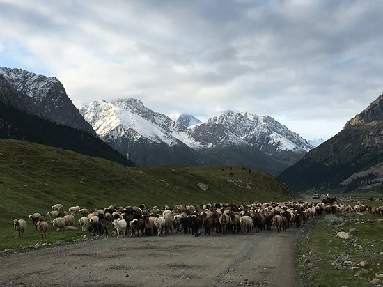 Kyrgyz-Travel-Naryn必去景点