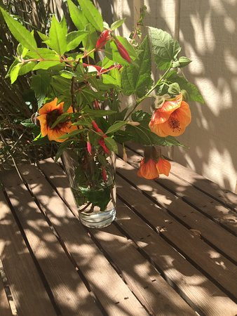 Bodega Bay Inn主图