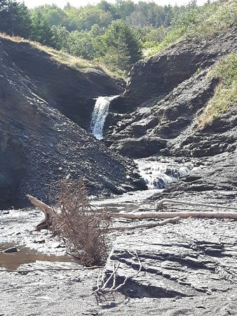 Arisaig Provincial Park-安蒂岗尼希必去景点