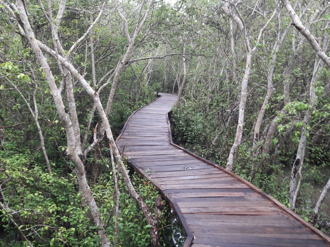 Coringa Wildlife Sanctuary景点图片