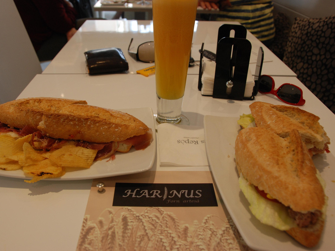 Harinus