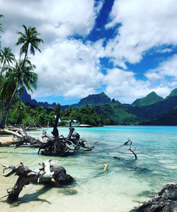 南太平洋莫雷阿岛图片