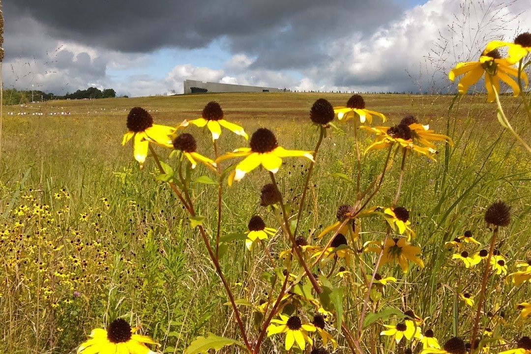 Stoystown旅游攻略图片