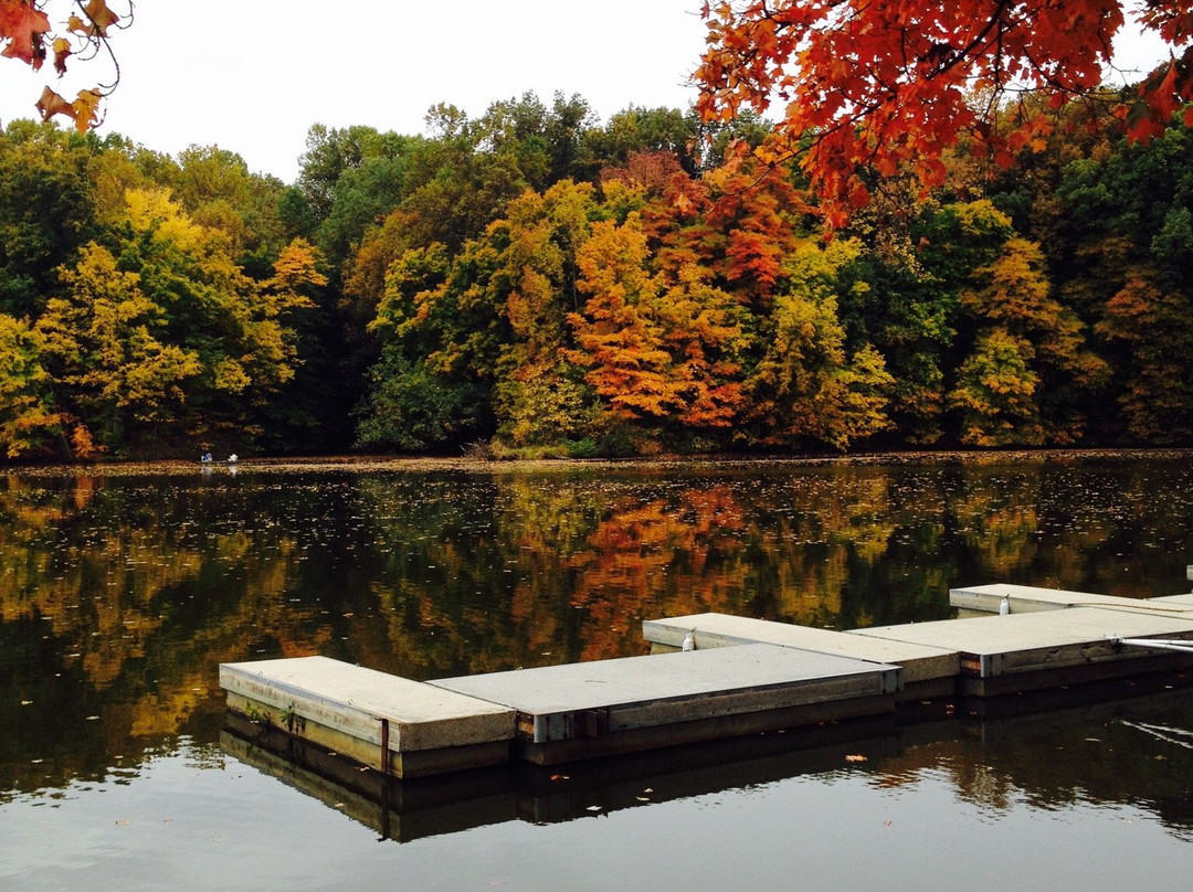 Henderson旅游攻略图片