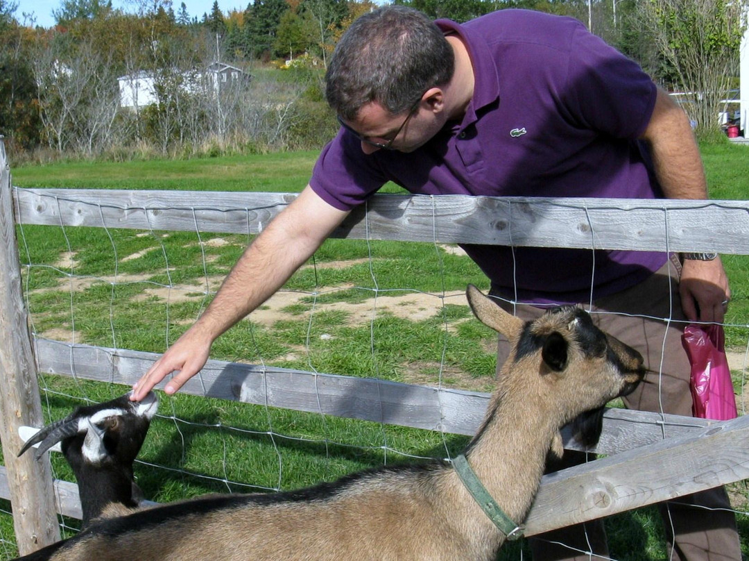 Groovy Goat Farm & Soap Company-Ingonish必去景点