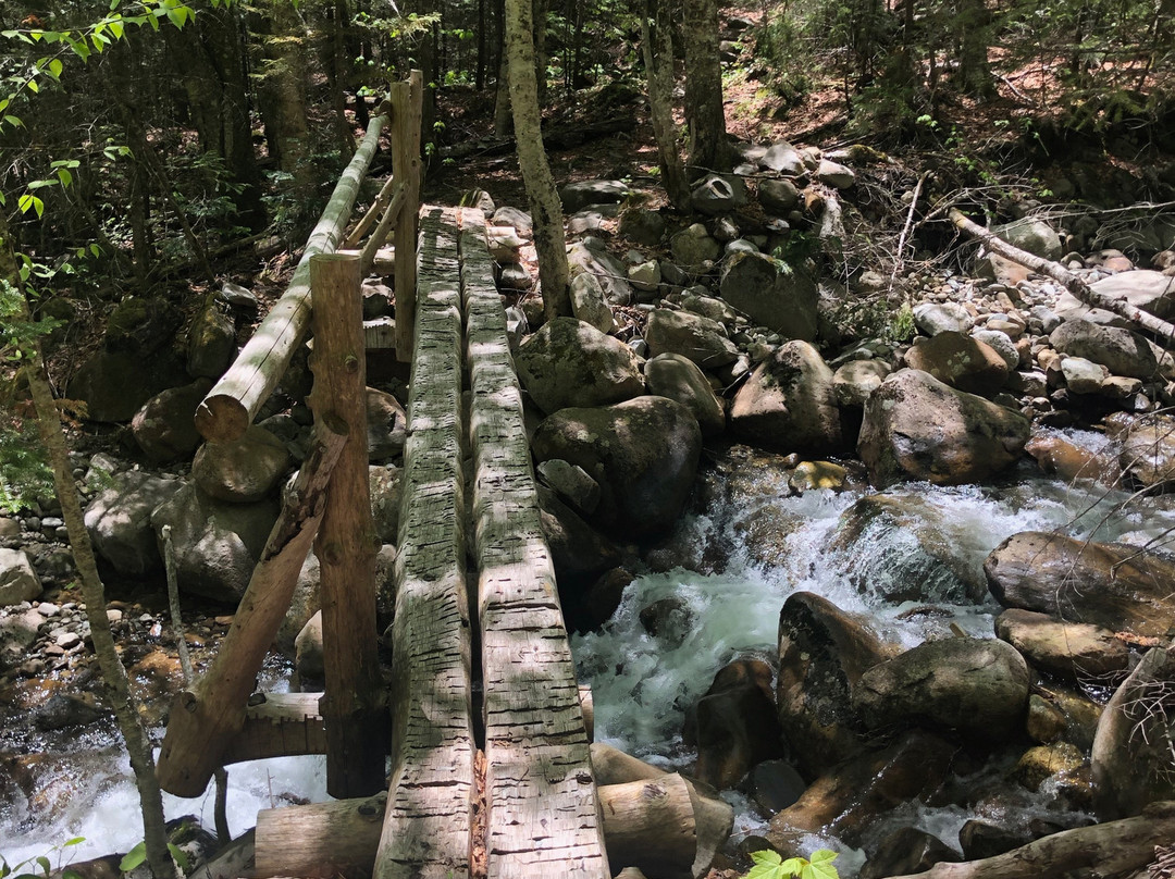 Mount Moosilauke景点图片