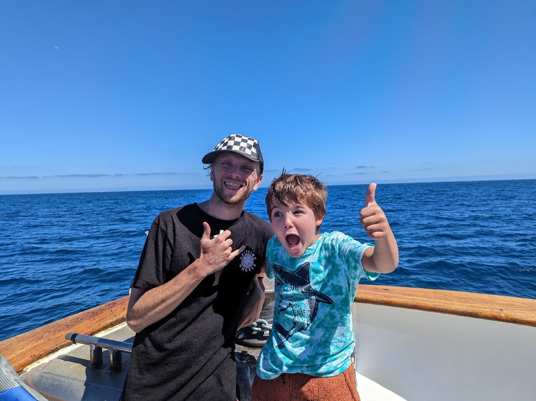 Freelance Sportfishing & Whale Watching-Day Boat Tours