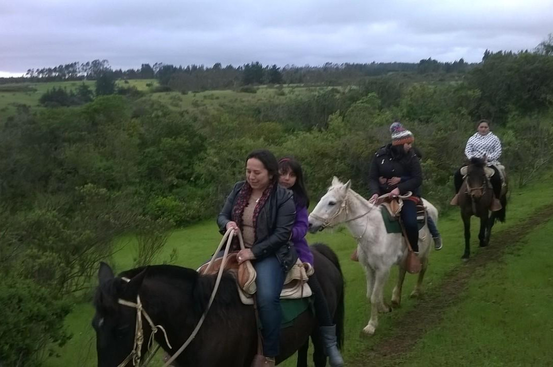 Turismo Campo Caballo景点图片