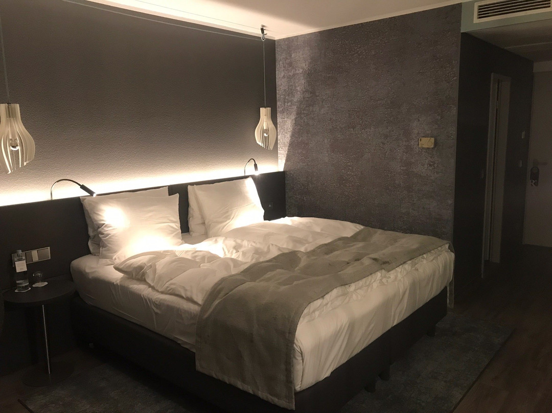 法兰克福上乌瑟尔瑞享酒店主图