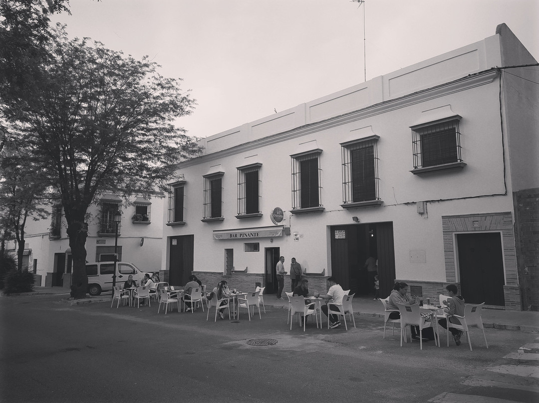 Bar Pinante