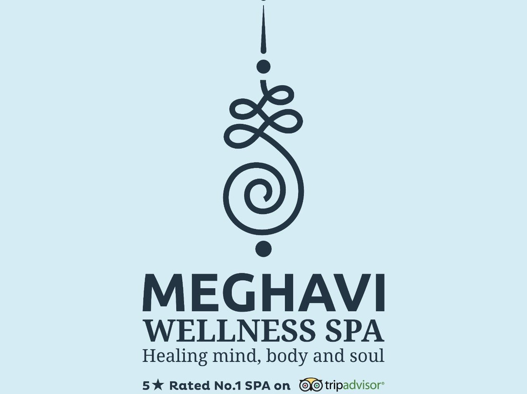 Meghavi Wellness Spa - Le Meridien Nagpur景点图片