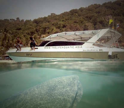 The Life Aquatic-湄南必去景点