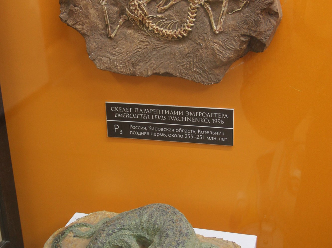 Kotelnich Paleontological Museum景点图片