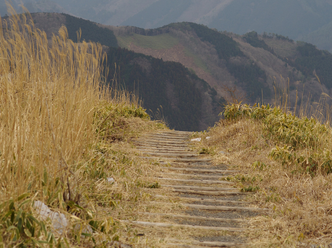 Shikoku Karst Tengu Plateau-津野町必去景点