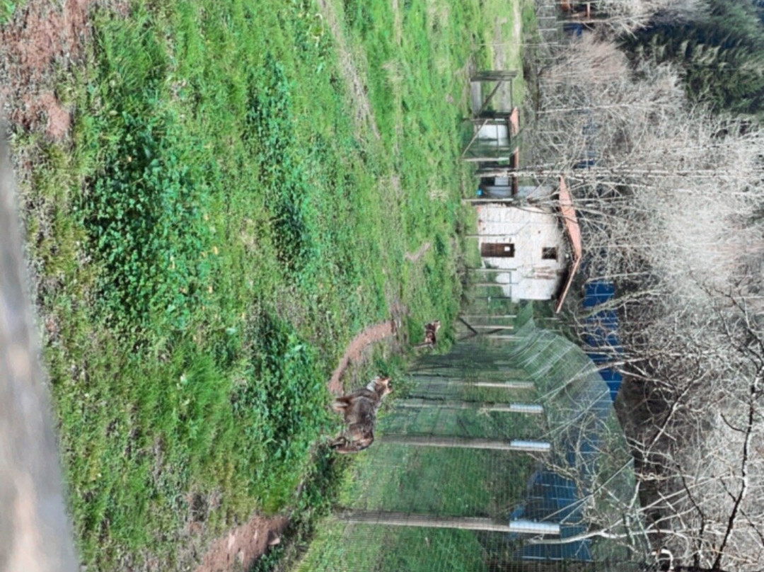 La Casa del Lobo-Belmonte de Miranda必去景点