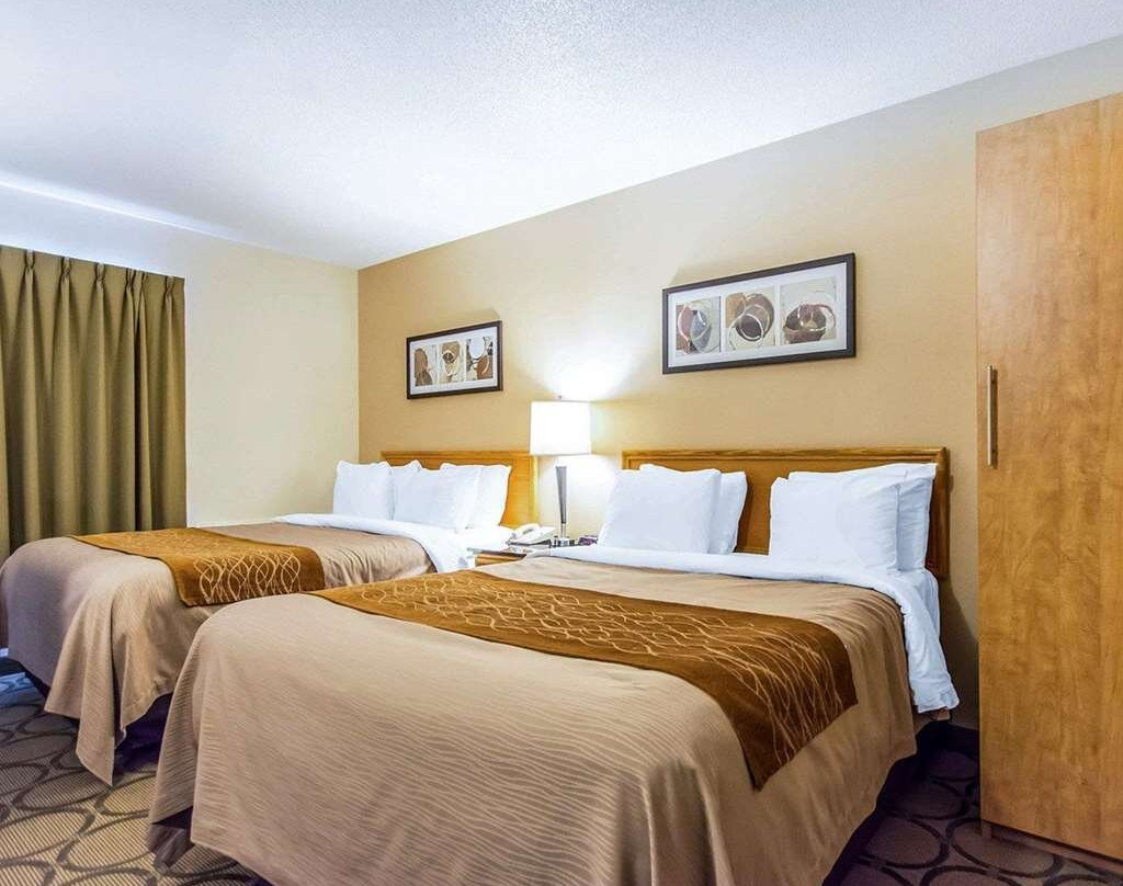 Comfort Inn East主图