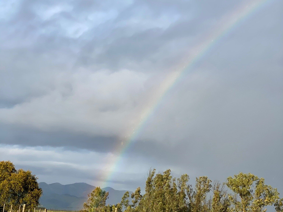 Presqu'ile Winery-圣玛丽亚必去景点