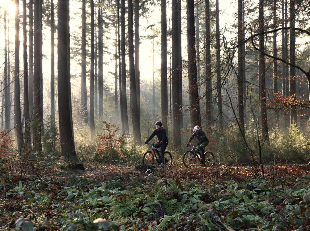 G2-mountainbike-Ermelo必去景点