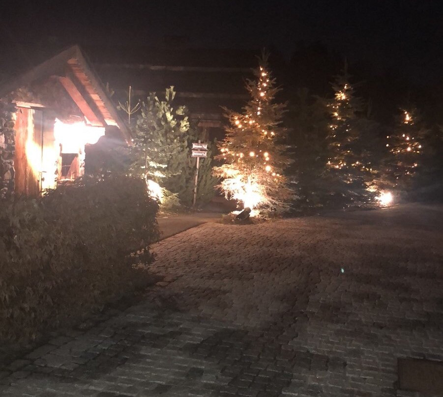 Snowsummit Transfers Sàrl-日内瓦必去景点