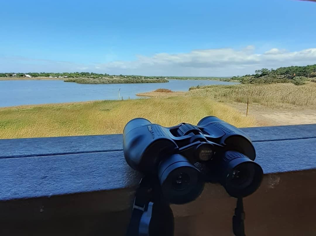 Lagoa de Santo André景点图片