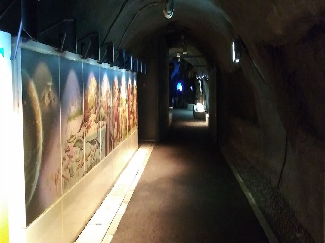 Mizunami Earth Corridor-瑞浪市必去景点