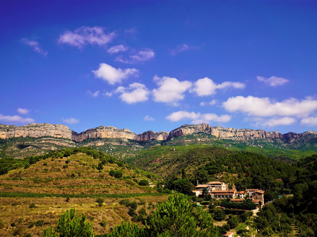 Torroja del Priorat旅游攻略图片