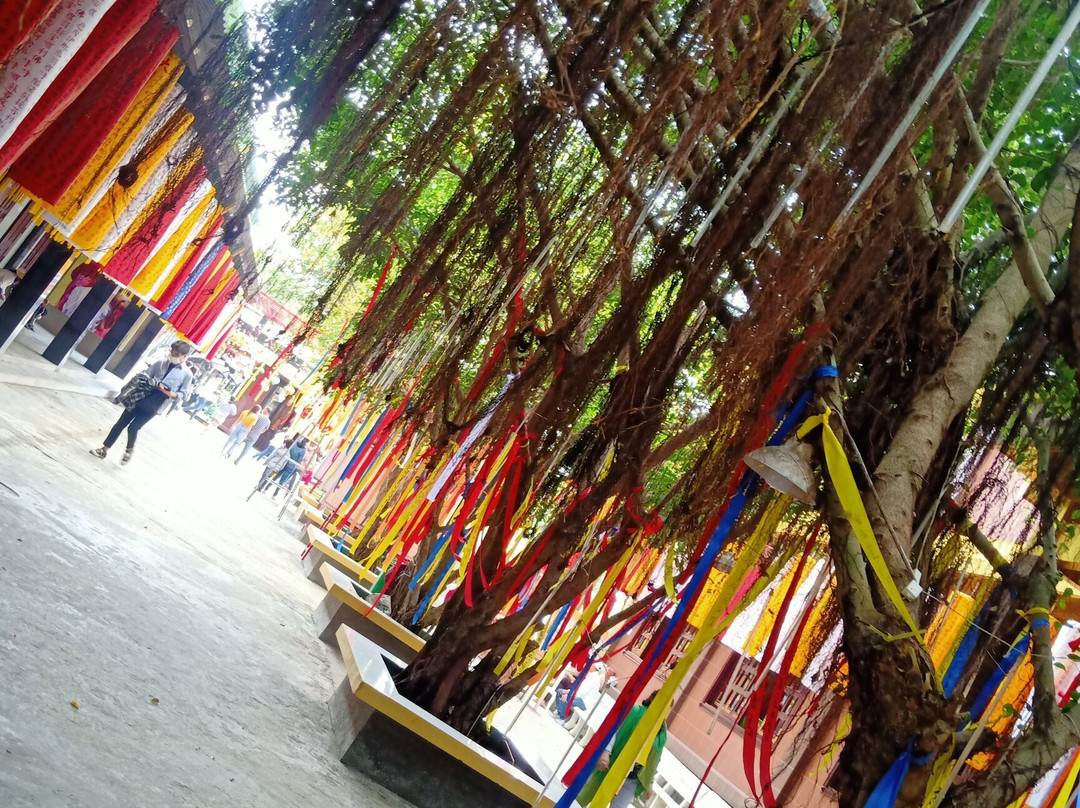 Phat Hoc 2 Pagoda-朔庄必去景点