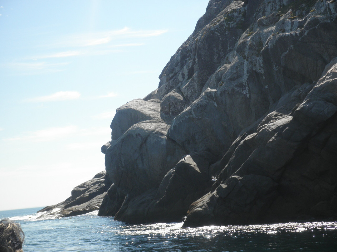 Pedra Perfil do Gorila-阿拉伊阿尔港必去景点