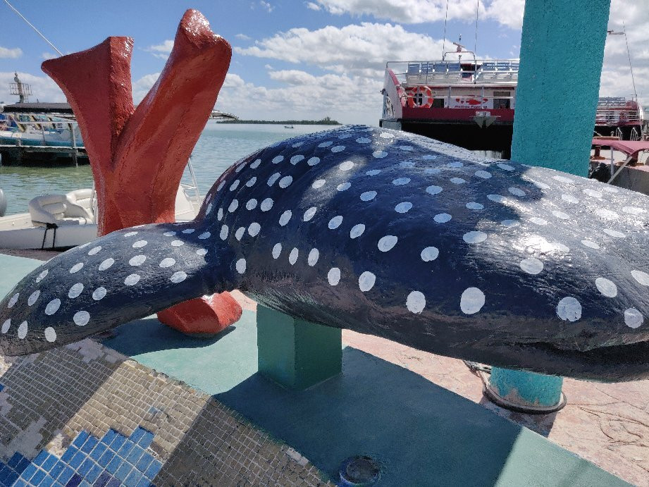 Barcos Holbox Express景点图片