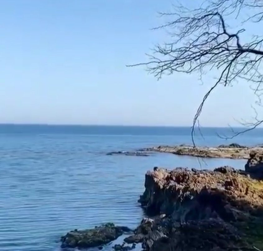 Uniport AVM景点图片
