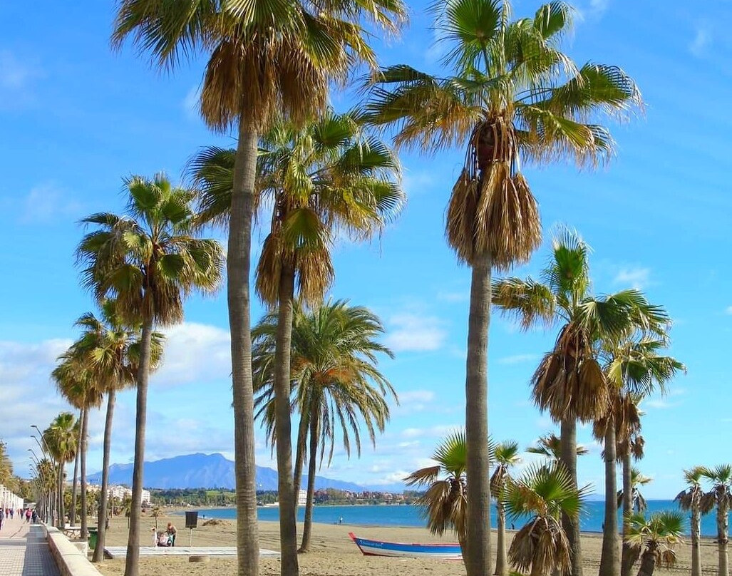 Playa de la Rada景点图片