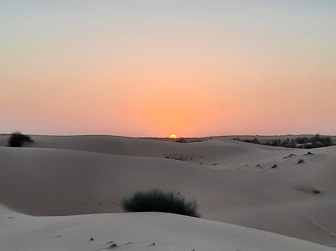 Sandman Camels景点图片