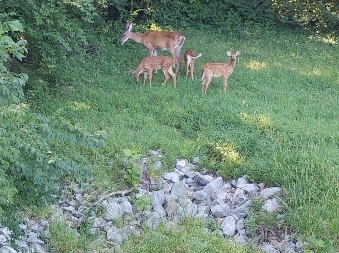 Greenway Trail-帕迪尤卡必去景点