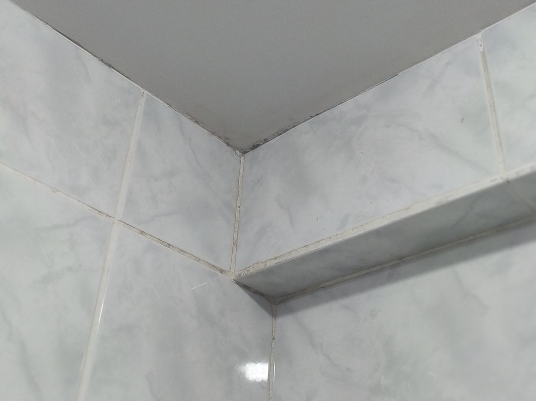 Vilhar Palace Hotel主图