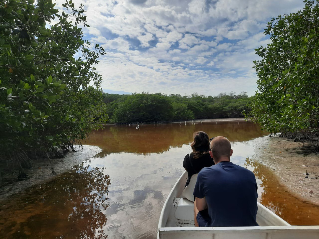 Mangroves of Dzinitun景点图片