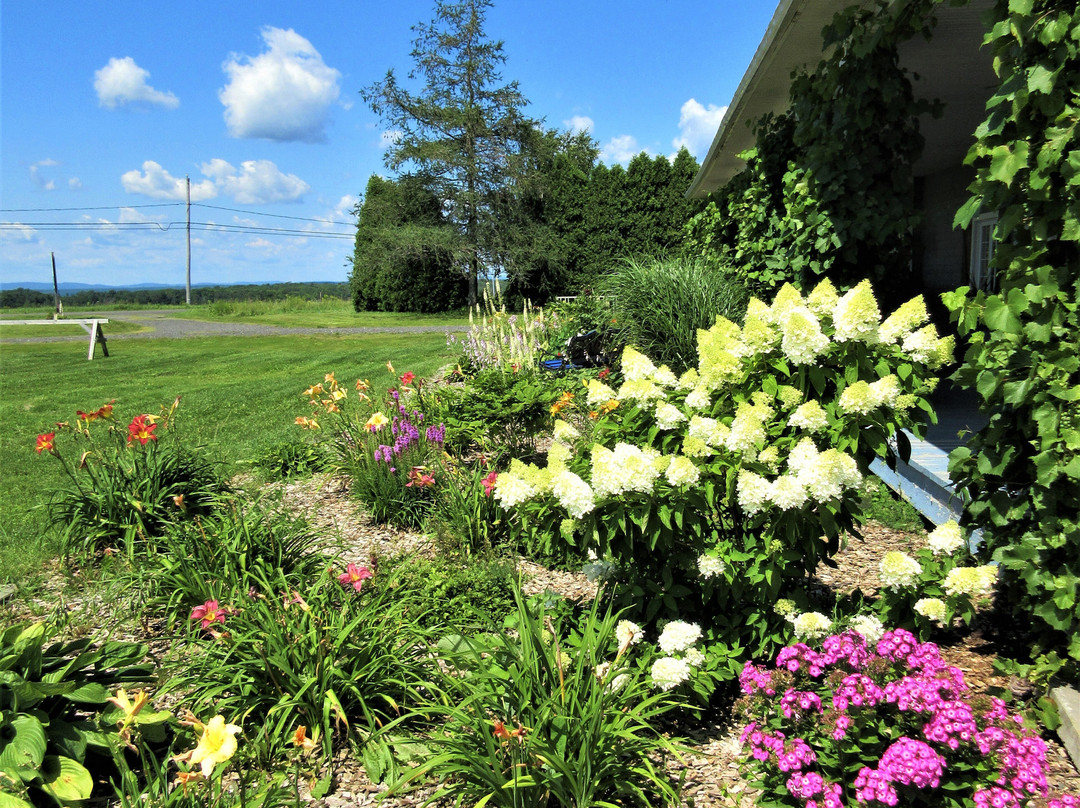 Vignoble la Charloise-Lotbiniere必去景点