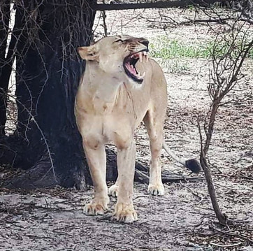 Coastal Safaris Tours-桑给巴尔岛必去景点