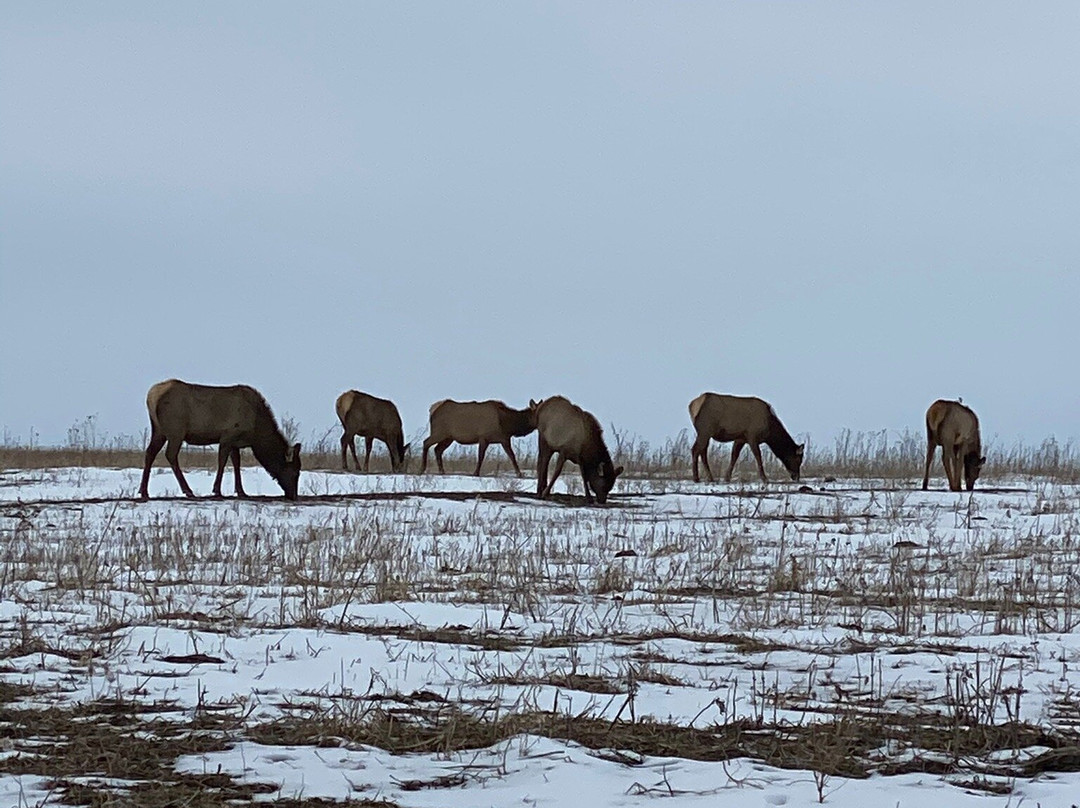 Neal Smith National Wildlife Refuge and Prairie Learning Center-Prairie City必去景点